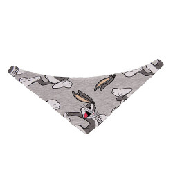 Lepus Fularlı Köpek Boyun Tasması No:1 Small - Lepus