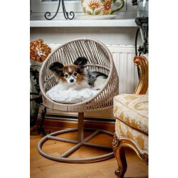 Lepus Galaxi Model Kedi ve Küçük Irk Köpek Yatağı 60x47x53 Cm - Lepus