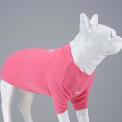 Lindodogs Cotton Candy Tshirt Köpek Kıyafeti Beden 1 - Lindodogs