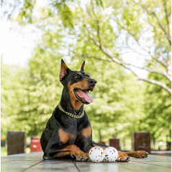 M-Pets Bloom Ball Parçalanmaz Top Köpek Oyuncağı Beyaz 7 Cm - 3