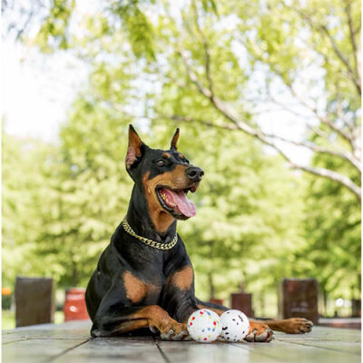 M-Pets Bloom Ball Parçalanmaz Top Köpek Oyuncağı Beyaz 7 Cm - 3