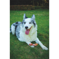 M-Pets Carnivore Bone Pastırma Aromalı Kemik Köpek Oyuncağı Medium 13,5x5,7x4,9 Cm - 3