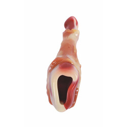 M-Pets Carnivore But Şeklinde Pastırma Aromalı Kemik Köpek Oyuncağı 12,4x6,1x3,5 Cm - 3