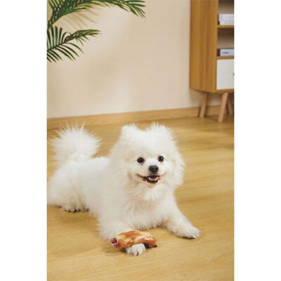 M-Pets Carnivore Pastırma Aromalı Kemik Köpek Oyuncağı 14,5x5,1x5 Cm - 3