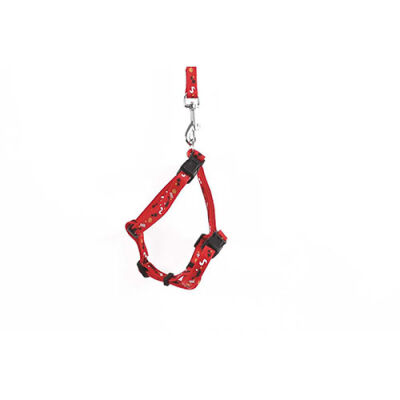 M-Pets Catogo Kedi Göğüs Tasması Seti Kırmızı 90-170 Cm - 2