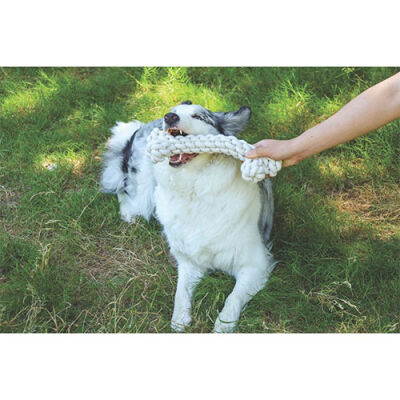 M-Pets Coto Örgü Kemik Köpek Oyuncağı Beyaz 30 Cm - 2