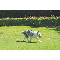 M-Pets Coto Örgü Top Köpek Oyuncağı Gri 9,5 Cm - 2