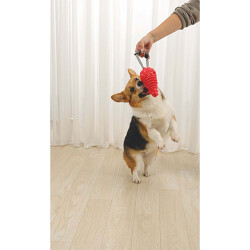 M-Pets Drogo Ödül Hazneli Köpek Oyuncağı Turuncu 18x8,5x8,5 Cm - 2