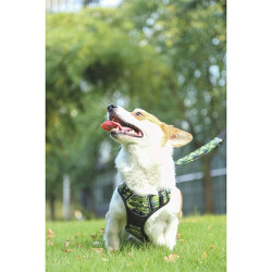 M-Pets Hiking Reflektörlü Köpek Göğüs Tasması Kamuflaj Medium 40-75 Cm - 3