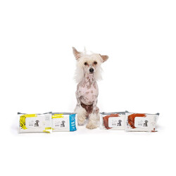 M-Pets Kedi ve Köpekler İçin Hindistan Cevizli Temizleme Mendili 80'li - 2