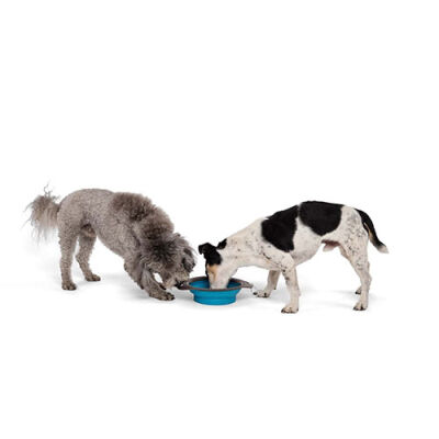 M-Pets Kedi ve Köpekler İçin Katlanır Silikon Mama ve Su Kabı Mavi 750 Ml - 3
