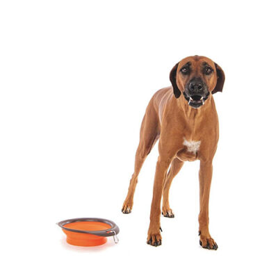 M-Pets Kedi ve Köpekler İçin Katlanır Silikon Mama ve Su Kabı Turuncu 1230 Ml - 2