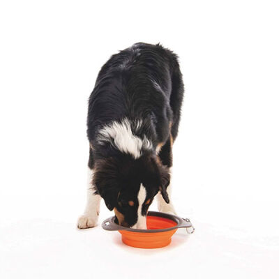 M-Pets Kedi ve Köpekler İçin Katlanır Silikon Mama ve Su Kabı Turuncu 1230 Ml - 3