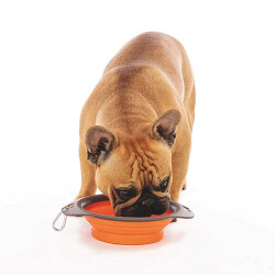 M-Pets Kedi ve Köpekler İçin Katlanır Silikon Mama ve Su Kabı Turuncu 750 Ml - 2