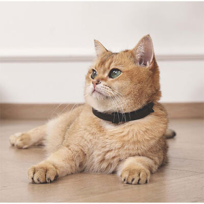 M-Pets Keep Calm Calming Sakinleştici Kedi Tasması 4'lü Mix Color - 3