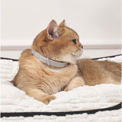 M-Pets Keep Calm Calming Sakinleştici Kedi Tasması Gri - 3