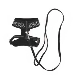 M-Pets Letsgo Kedi Göğüs Tasması Seti 30-42 Cm - 2