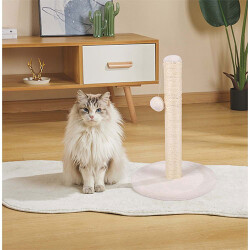 M-Pets My Second Pompom Ponponlu Kedi Tırmalama Tahtası 30x43 Cm - 2