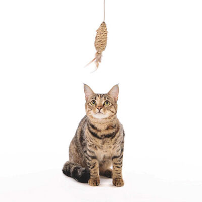 M-Pets Natura Olta Kedi Oyuncağı 35 Cm - 2