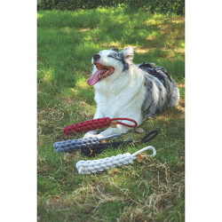 M-Pets Örgü Köpek Oyuncağı Kırmızı 34 Cm - 2