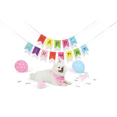 M-Pets Party Time Dişi Köpekler İçin Doğum Günü Seti 20x20x7 Cm - 3