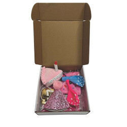 M-Pets Party Time Dişi Köpekler İçin Doğum Günü Seti 20x20x7 Cm - 2