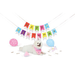 M-Pets Party Time Dişi Köpekler İçin Doğum Günü Seti 20x20x7 Cm - 3