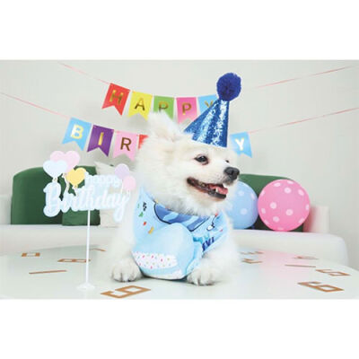 M-Pets Party Time Erkek Köpekler İçin Doğum Günü Seti 20x20x7 Cm - 3
