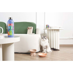 M-Pets Petjoy Mao Miao Seramik Kedi Mama Kabı 200 Ml - 3