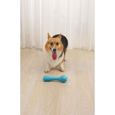 M-Pets Rob Ödül Hazneli Köpek Oyuncağı Mavi 23,5x6,5x6,5 Cm - 2