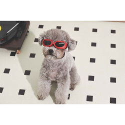M-Pets Sunny Daytrip Köpek Gözlüğü Kırmızı 15,2x4,9 Cm - 2