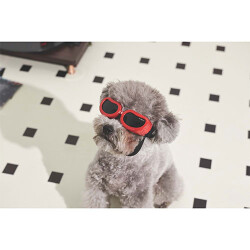 M-Pets Sunny Daytrip Köpek Gözlüğü Kırmızı 15,2x4,9 Cm - 3
