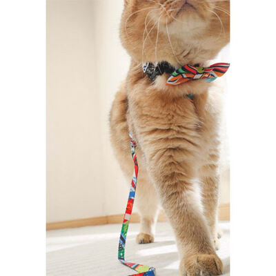 M-Pets Urban Style Freestyle Kedi ve Köpek Papyonu Large - 2