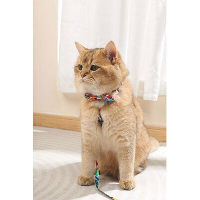 M-Pets Urban Style Freestyle Kedi ve Köpek Papyonu Xs-S - 2