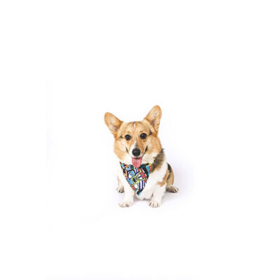 M-Pets Urban Style Freestyle Köpek Bandanası Small 13x33 Cm - 2
