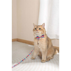 M-Pets Urban Style Jazz Stripes Kedi ve Köpek Papyonu Large - 3