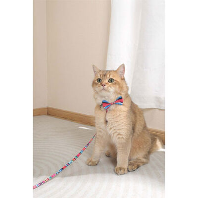 M-Pets Urban Style Jazz Stripes Kedi ve Köpek Papyonu Large - 3