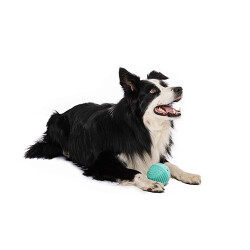 M-Pets Vice Versa Et Aromalı Top Köpek Oyuncağı 8,38 Cm - 3