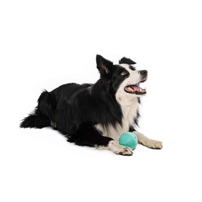M-Pets Vice Versa Et Aromalı Top Köpek Oyuncağı 8,38 Cm - 3