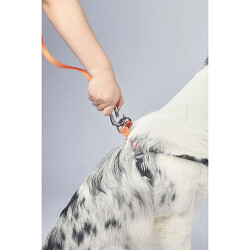 M-Pets Wild Jungle Köpek Gezdirme Kayışı Turuncu Large-Xlarge 2x120 Cm - 3