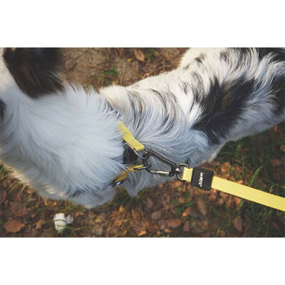 M-Pets Wild Safari Köpek Gezdirme Kayışı Sarı Large-XLarge 2x120 Cm - 3