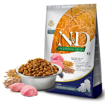 N&D Ancestral Grain Kuzulu Yaban Mersinli Orta ve Büyük Irk Düşük Tahıllı Yavru Köpek Maması 12 Kg - 1