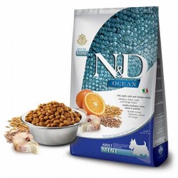 N&D Ancestral Grain Morina Balıklı ve Portokallı Küçük Irk Düşük Tahıllı Yetişkin Köpek Maması 2,5 Kg - ND