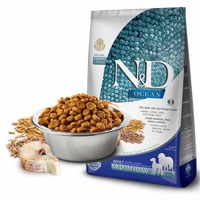 N&D Ocean Balıklı Portakallı Orta ve Büyük Irk Düşük Tahıllı Yetişkin Köpek Maması 12 Kg - 1