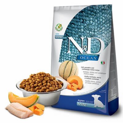 N&D Ocean Morina Balıklı Balkabaklı Kavunlu Küçük Irk Tahılsız Yavru Köpek Maması 2,5 Kg - 1