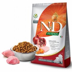 N&D Pumpkin Balkabaklı Tavuklu ve Narlı Orta ve Büyük Irk Tahılsız Yavru Köpek Maması 2,5 Kg - ND
