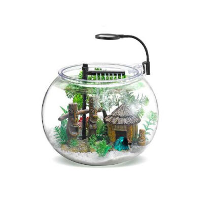 Nubios Masaüstü Fanus Beta Akvaryum Seti 12 Lt - 1