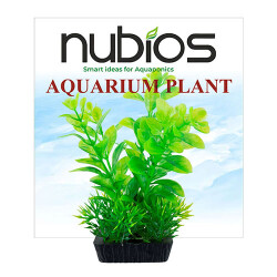 Nubios Plastik Bitki Kare Tabanlı Tekli Karton 10 Cm - Nubios
