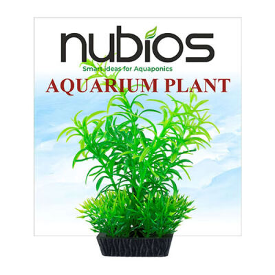 Nubios Plastik Bitki Kare Tabanlı Tekli Karton 10 Cm - 1