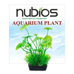 Nubios Plastik Bitki Kare Tabanlı Tekli Karton 10 Cm - Nubios